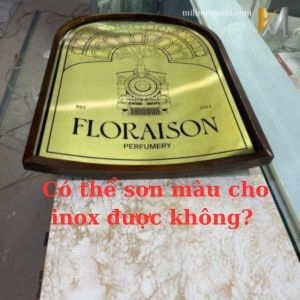 Có thể sơn màu cho inox được không?